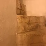 Edyta's *
