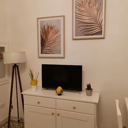 Edyta's *